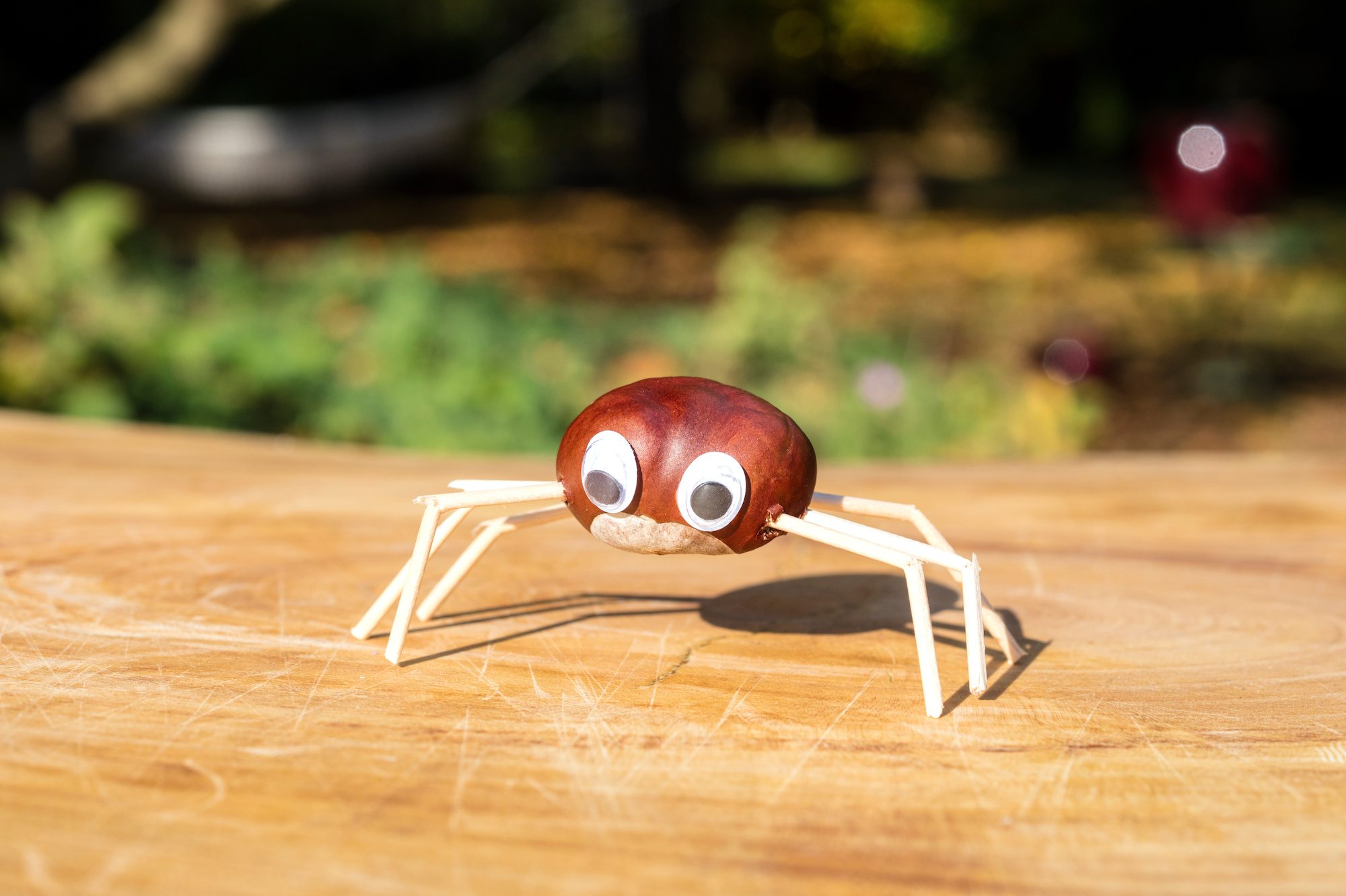 Basteln mit Kastanien In 6 Schritten zur herbstlichen DIYDeko